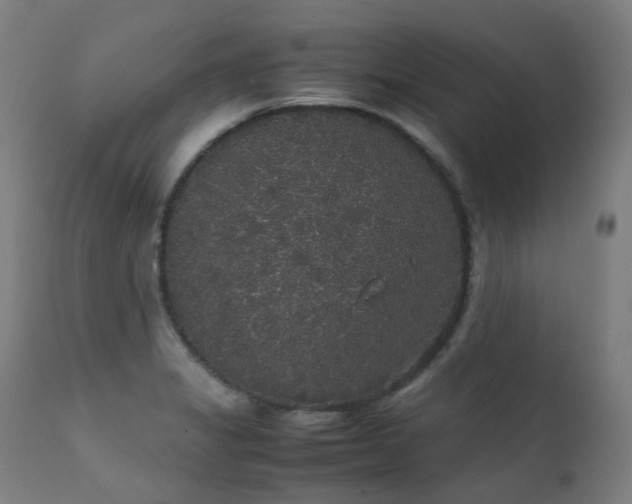 X0000111371325200907171148