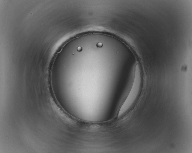 X0000111371326200907171149