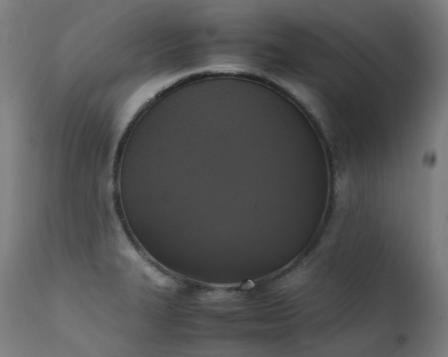 X0000111371327200907171149