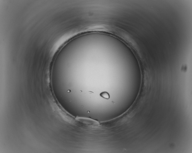 X0000111371328200907171149