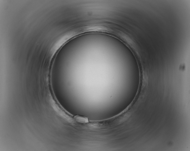 X0000111371330200907171149