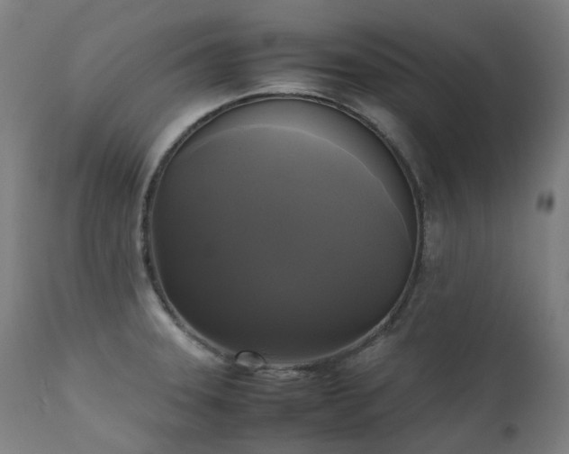 X0000111371331200907171149