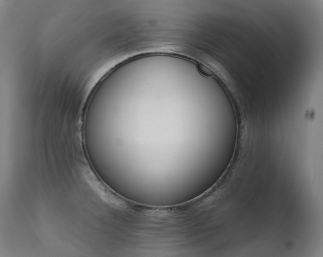 X0000111371332200907171149