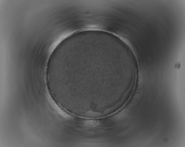 X0000111371333200907171149