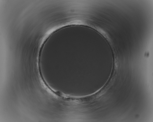 X0000111371334200907171149