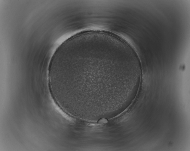 X0000111371335200907171149