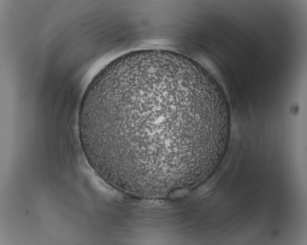 X0000111371336200907171149