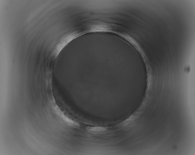 X0000111371337200907171149