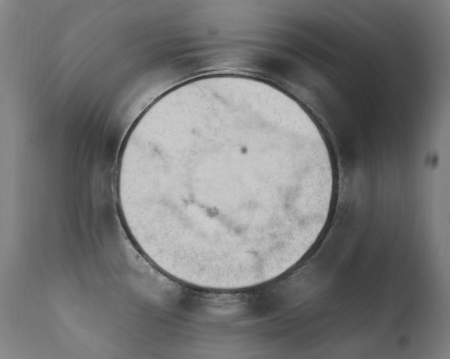 X0000111371338200907171149