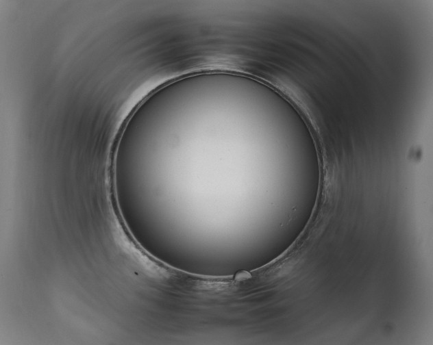 X0000111371339200907171149