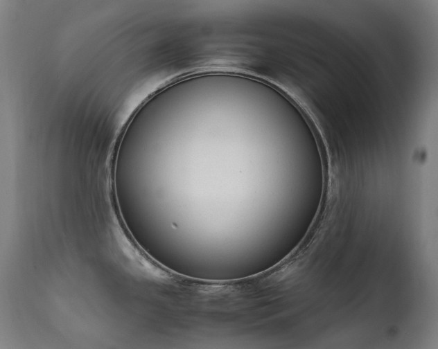 X0000111371341200907171149