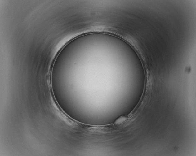 X0000111371342200907171149