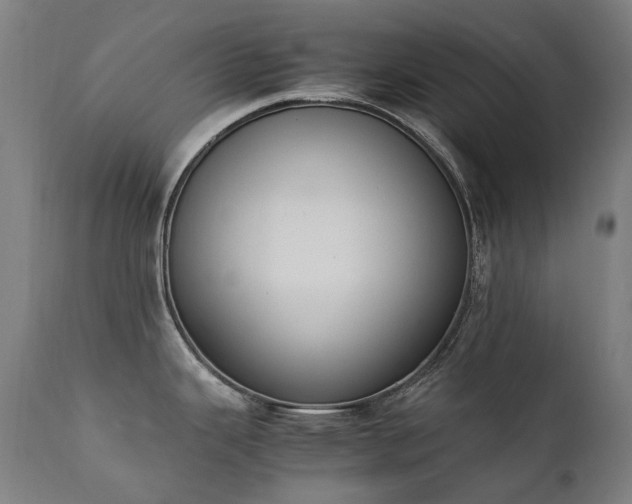 X0000111371343200907171149