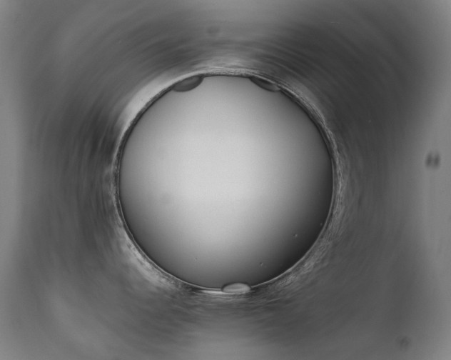 X0000111371344200907171149