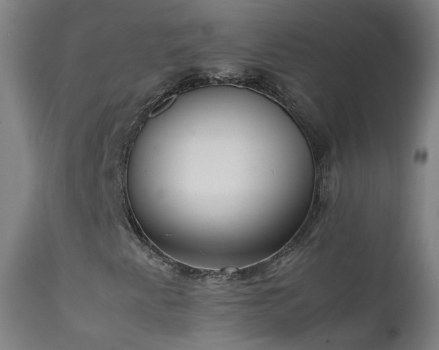 X0000111371345200907171148