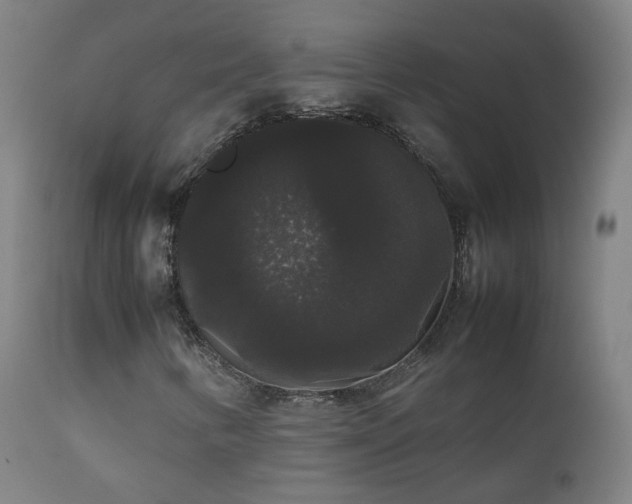 X0000111371346200907171148