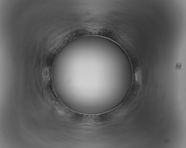 X0000111371347200907171148