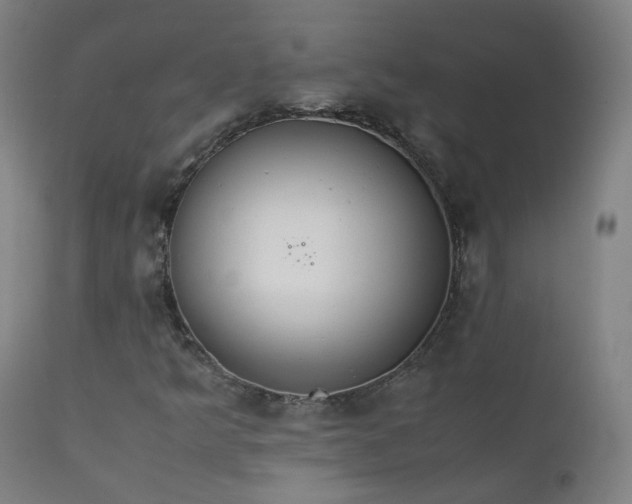 X0000111371349200907171148