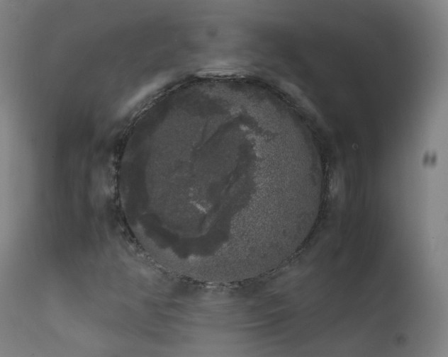 X0000111371350200907171148