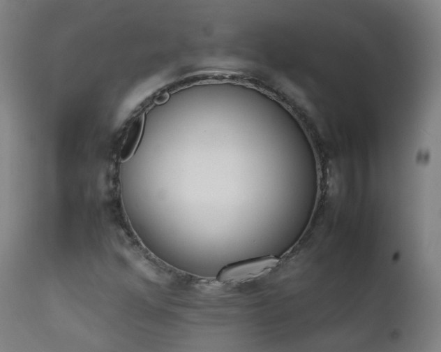 X0000111371352200907171148