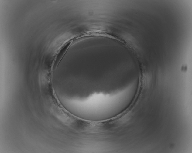 X0000111371353200907171148