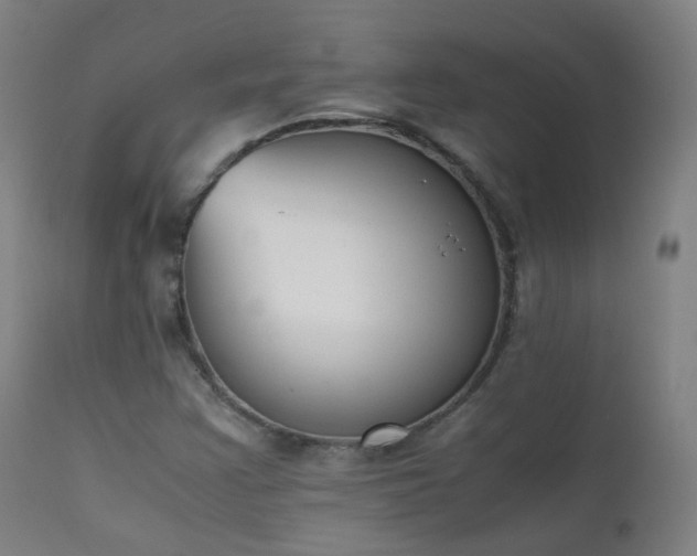 X0000111371355200907171148