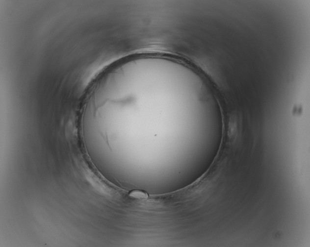 X0000111371356200907171148