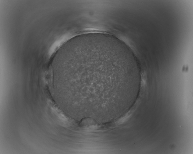 X0000111371357200907171148