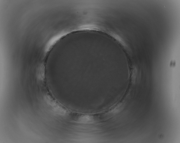 X0000111371358200907171148