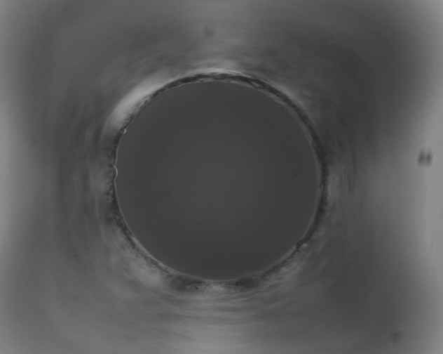 X0000111371359200907171148