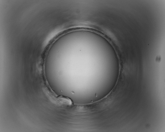 X0000111371360200907171148