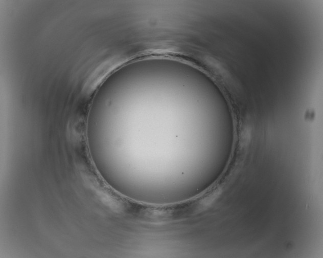 X0000111371361200907171148