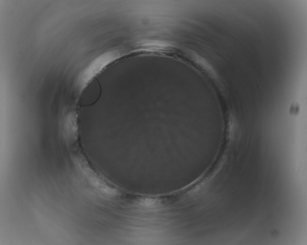 X0000111371362200907171148