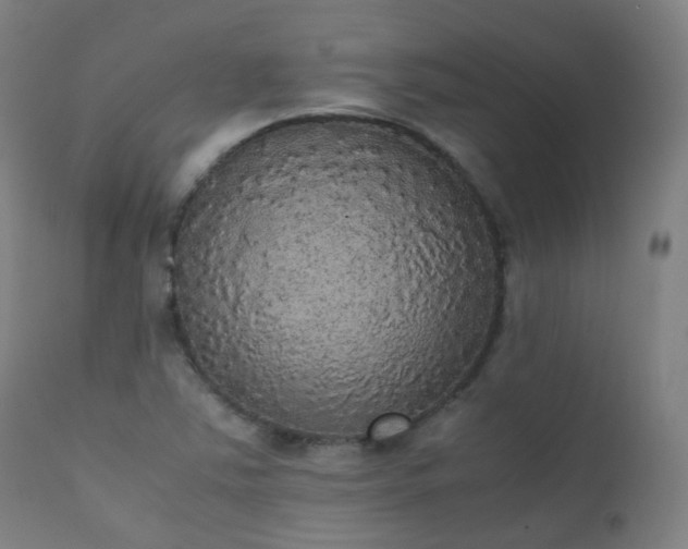 X0000111371363200907171148