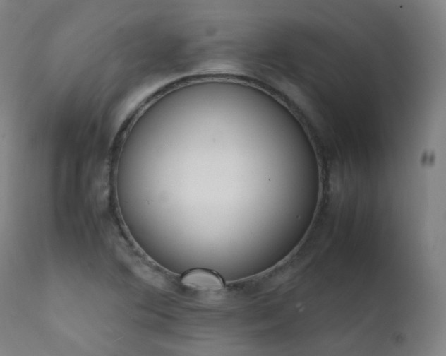 X0000111371364200907171147