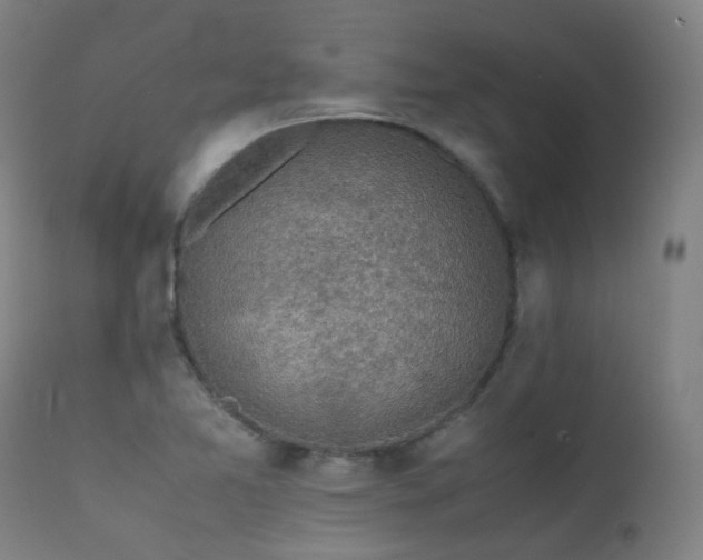 X0000111371365200907171147