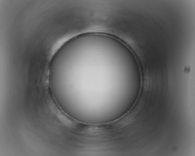 X0000111371366200907171147