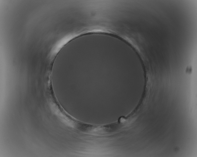 X0000111371367200907171147