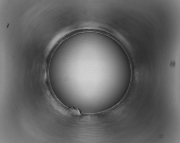 X0000111371368200907171147