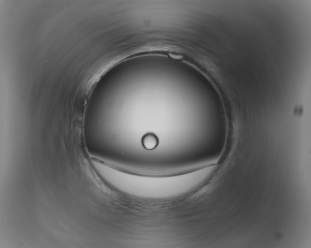 X0000111371369200907171147