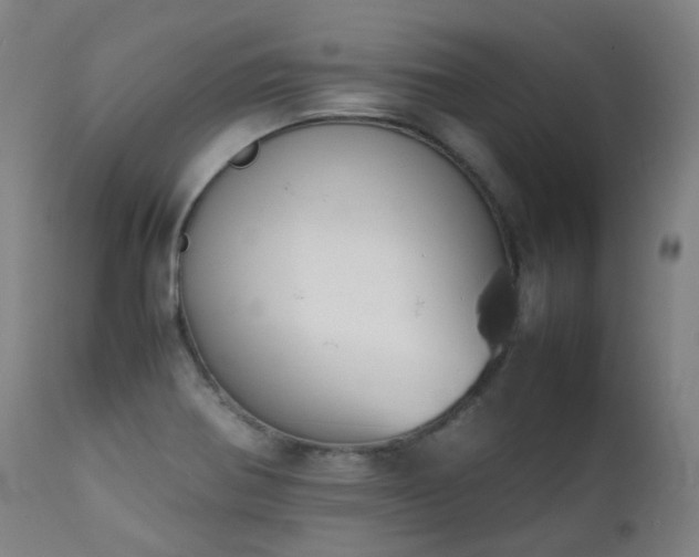 X0000111371370200907171147