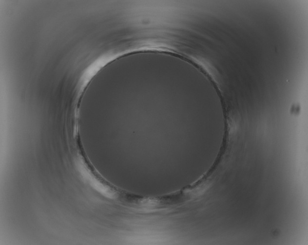 X0000111371371200907171147