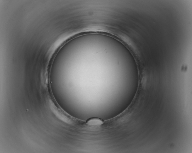 X0000111371372200907171147