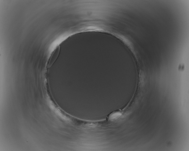 X0000111371373200907171147