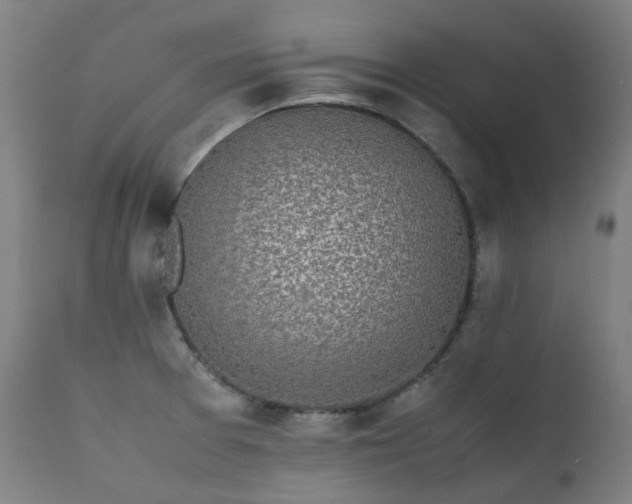 X0000111371377200907171147