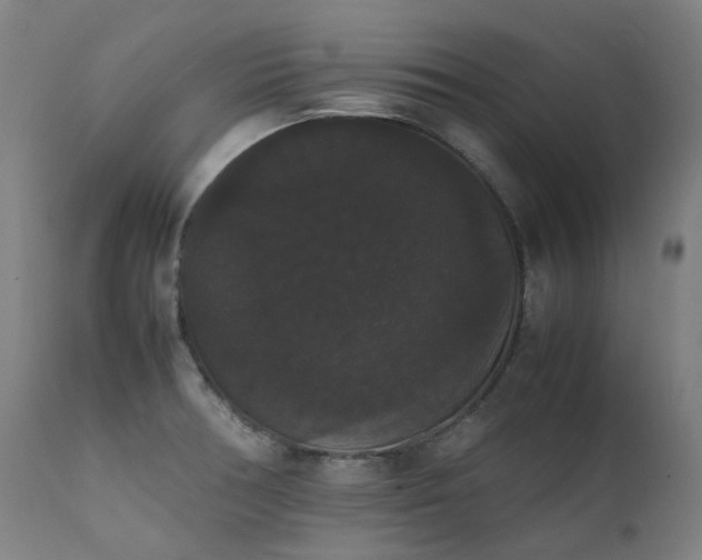 X0000111371378200907171147