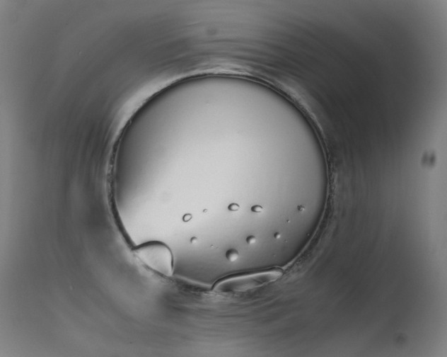 X0000111371379200907171147