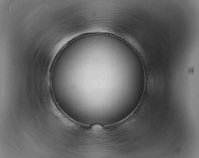 X0000111371380200907171147