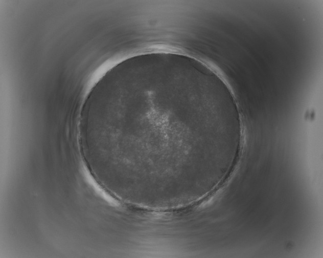 X0000111371381200907171147