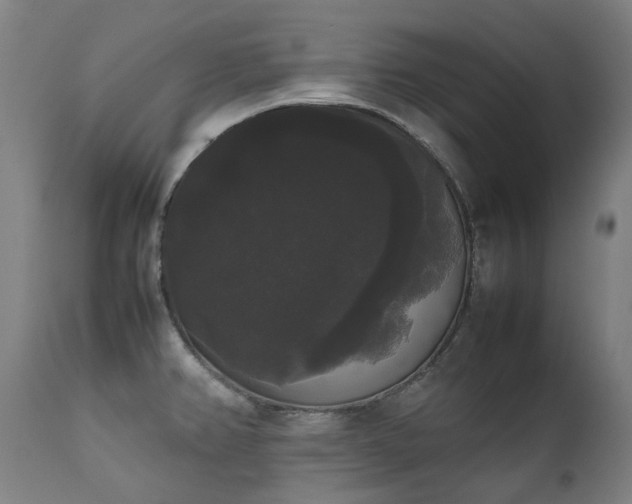 X0000111371382200907171147